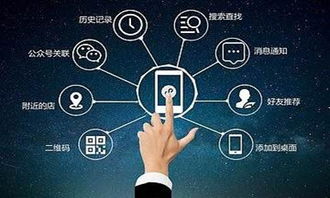 微信小程序吸粉引流策略與軟件開發(fā)指南